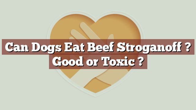 Can Dogs Eat Beef Stroganoff ? Good or Toxic ?
