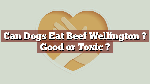 Can Dogs Eat Beef Wellington ? Good or Toxic ?
