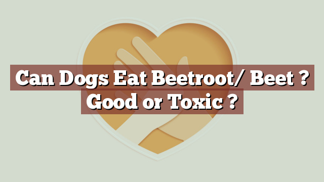 Can Dogs Eat Beetroot/ Beet ? Good or Toxic ?