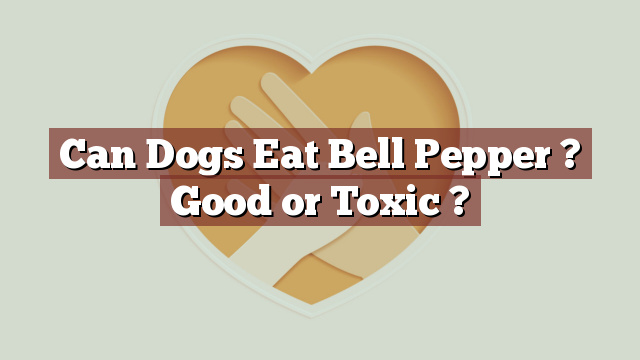 Can Dogs Eat Bell Pepper ? Good or Toxic ?