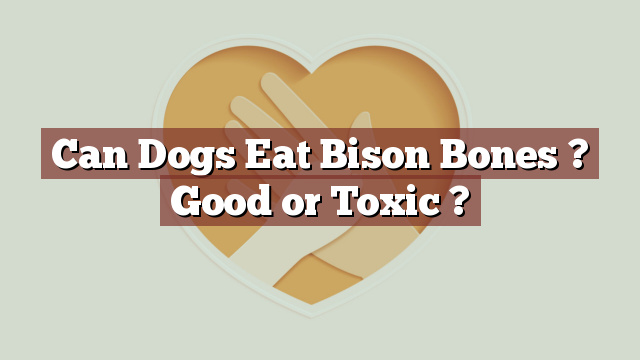 Can Dogs Eat Bison Bones ? Good or Toxic ?