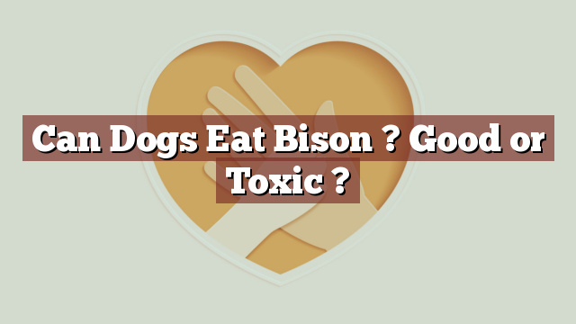 Can Dogs Eat Bison ? Good or Toxic ?