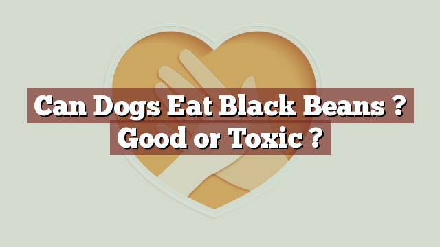 Can Dogs Eat Black Beans ? Good or Toxic ?