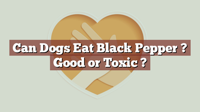 Can Dogs Eat Black Pepper ? Good or Toxic ?