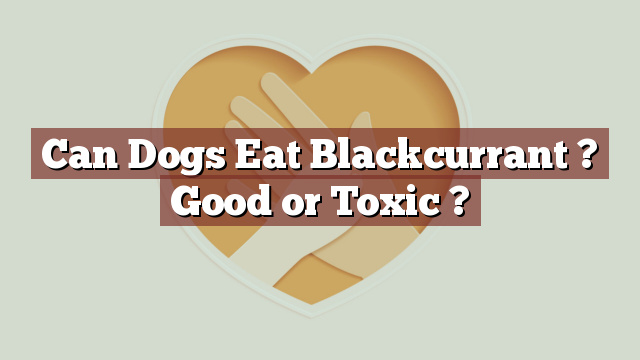 Can Dogs Eat Blackcurrant ? Good or Toxic ?