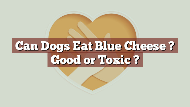 Can Dogs Eat Blue Cheese ? Good or Toxic ?