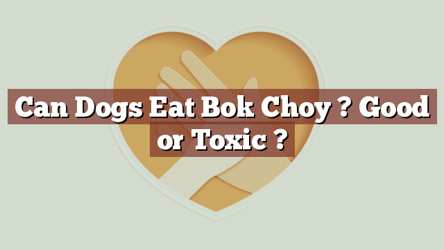 Can Dogs Eat Bok Choy ? Good or Toxic ?