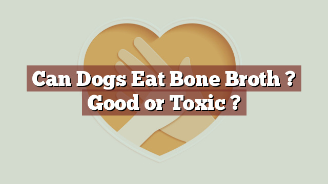 Can Dogs Eat Bone Broth ? Good or Toxic ?