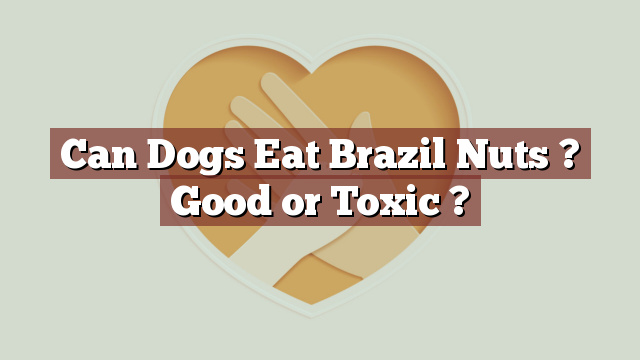 Can Dogs Eat Brazil Nuts ? Good or Toxic ?