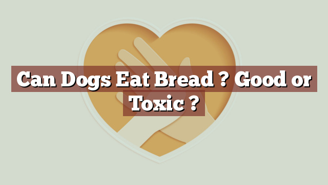 Can Dogs Eat Bread ? Good or Toxic ?