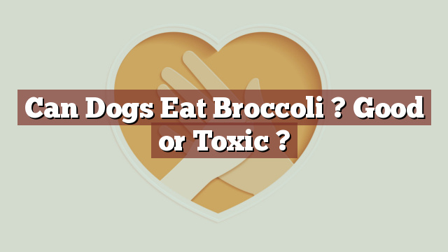 Can Dogs Eat Broccoli ? Good or Toxic ?