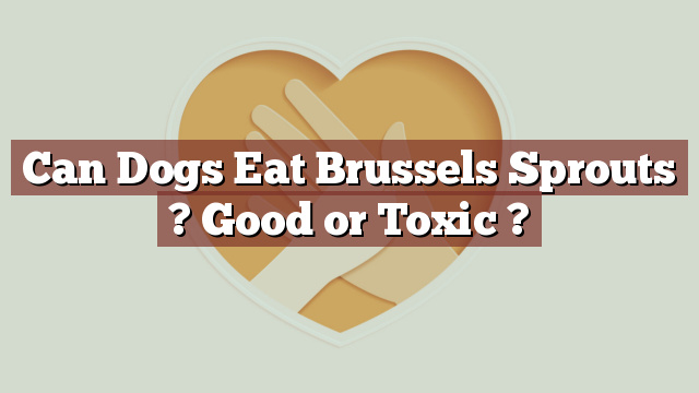 Can Dogs Eat Brussels Sprouts ? Good or Toxic ?