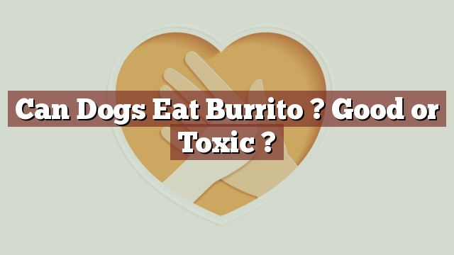 Can Dogs Eat Burrito ? Good or Toxic ?