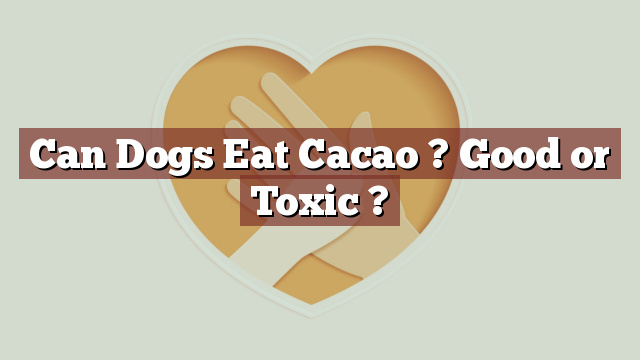 Can Dogs Eat Cacao ? Good or Toxic ?