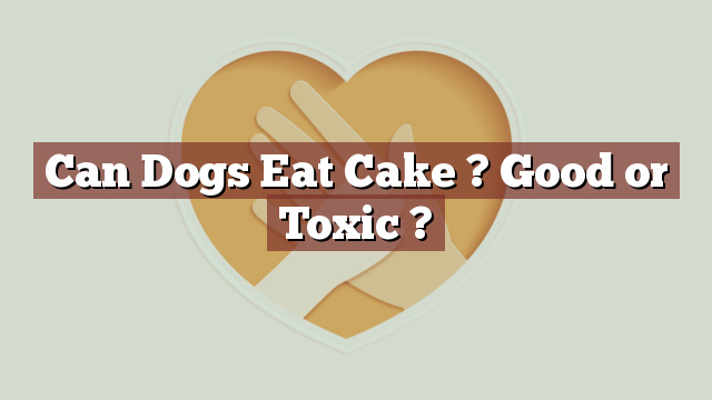 Can Dogs Eat Cake ? Good or Toxic ?
