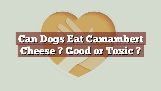 Can Dogs Eat Camambert Cheese ? Good or Toxic ?