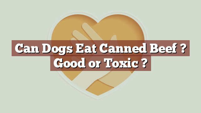 Can Dogs Eat Canned Beef ? Good or Toxic ?