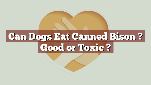Can Dogs Eat Canned Bison ? Good or Toxic ?