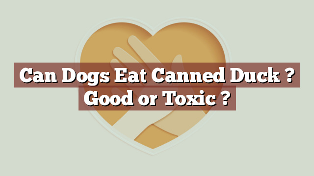 Can Dogs Eat Canned Duck ? Good or Toxic ?