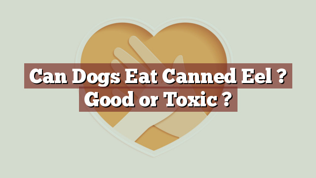 Can Dogs Eat Canned Eel ? Good or Toxic ?