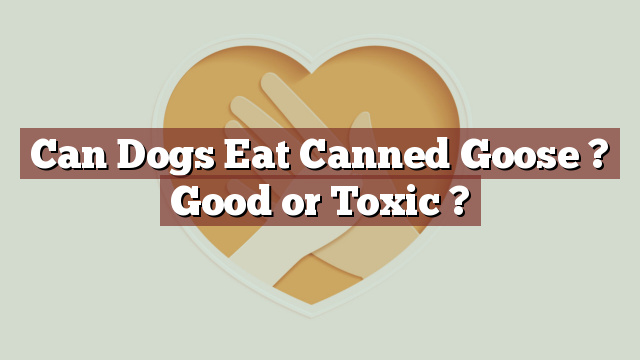Can Dogs Eat Canned Goose ? Good or Toxic ?