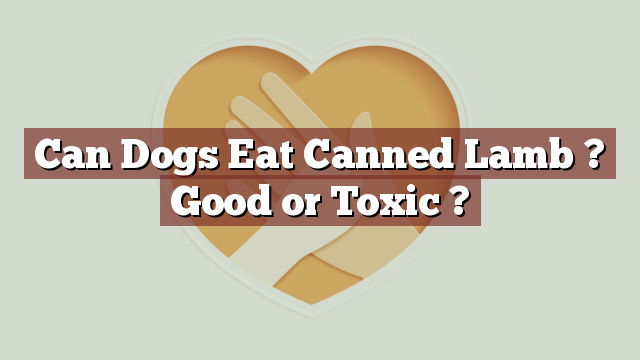 Can Dogs Eat Canned Lamb ? Good or Toxic ?