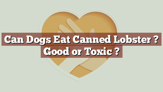 Can Dogs Eat Canned Lobster ? Good or Toxic ?