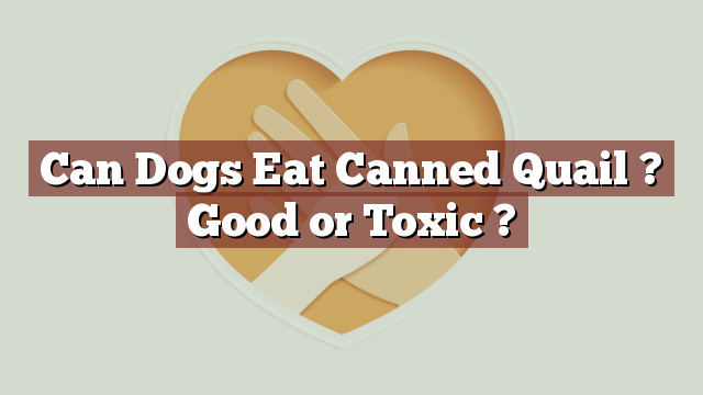Can Dogs Eat Canned Quail ? Good or Toxic ?