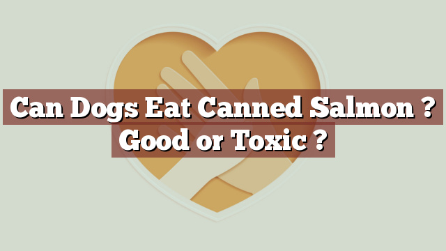 Can Dogs Eat Canned Salmon ? Good or Toxic ?