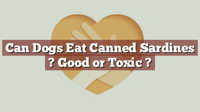 Can Dogs Eat Canned Sardines ? Good or Toxic ?