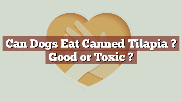 Can Dogs Eat Canned Tilapia ? Good or Toxic ?