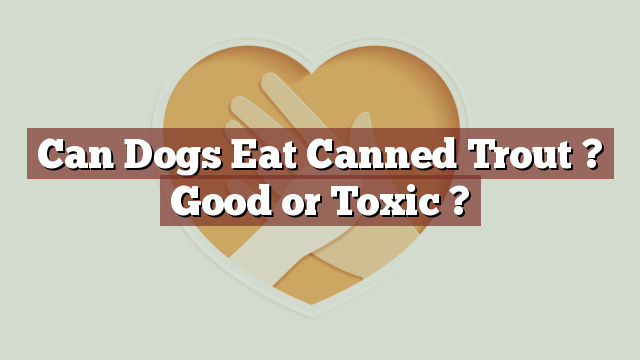 Can Dogs Eat Canned Trout ? Good or Toxic ?