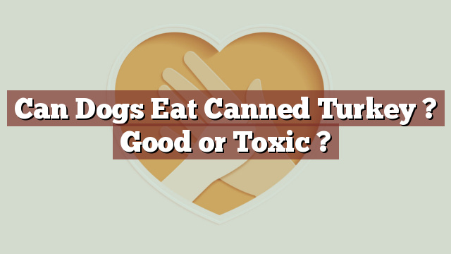 Can Dogs Eat Canned Turkey ? Good or Toxic ?