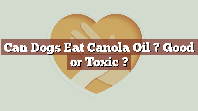 Can Dogs Eat Canola Oil ? Good or Toxic ?