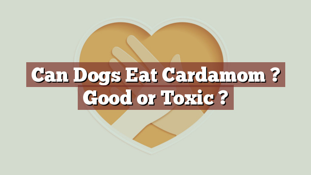 Can Dogs Eat Cardamom ? Good or Toxic ?