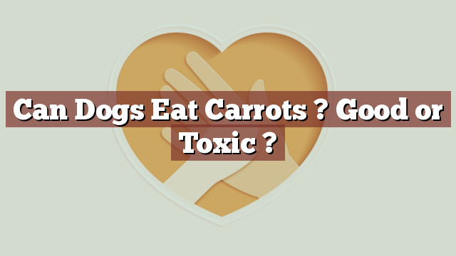 Can Dogs Eat Carrots ? Good or Toxic ?
