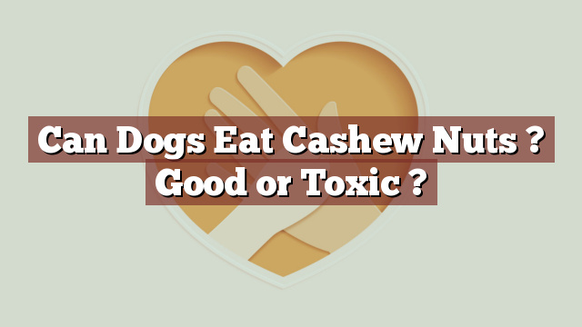 Can Dogs Eat Cashew Nuts ? Good or Toxic ?