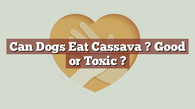 Can Dogs Eat Cassava ? Good or Toxic ?