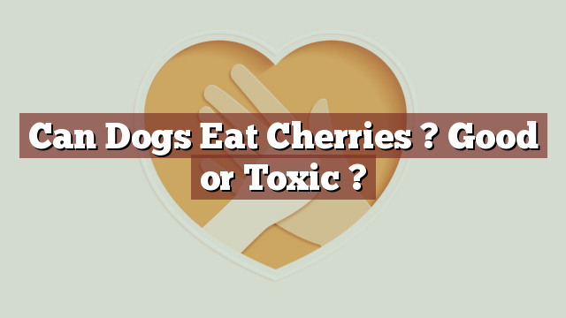 Can Dogs Eat Cherries ? Good or Toxic ?