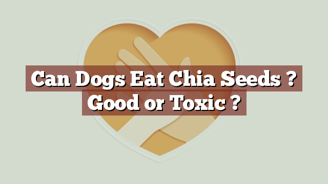 Can Dogs Eat Chia Seeds ? Good or Toxic ?