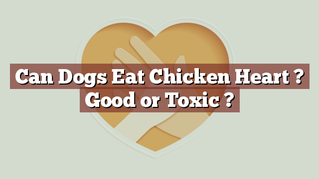 Can Dogs Eat Chicken Heart ? Good or Toxic ?