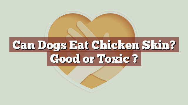 Can Dogs Eat Chicken Skin? Good or Toxic ?
