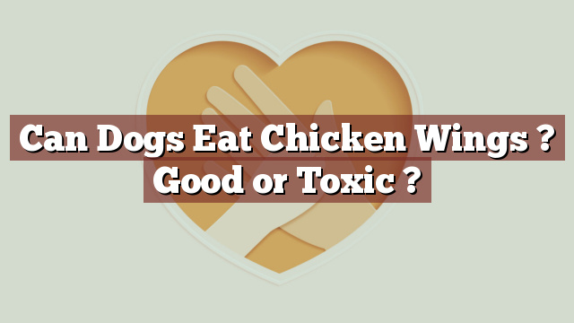 Can Dogs Eat Chicken Wings ? Good or Toxic ?