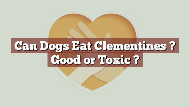 Can Dogs Eat Clementines ? Good or Toxic ?