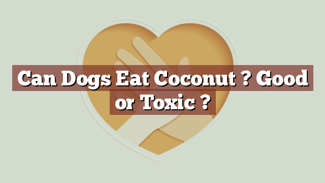 Can Dogs Eat Coconut ? Good or Toxic ?