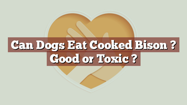 Can Dogs Eat Cooked Bison ? Good or Toxic ?
