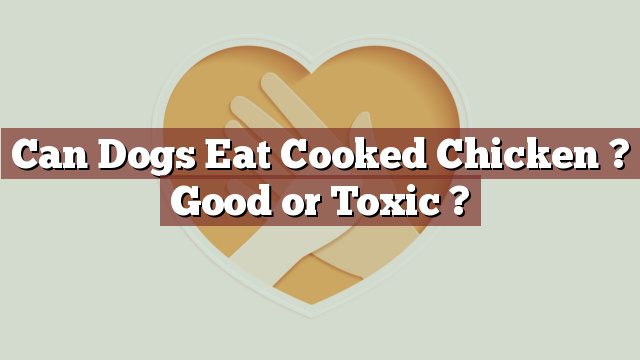 Can Dogs Eat Cooked Chicken ? Good or Toxic ?