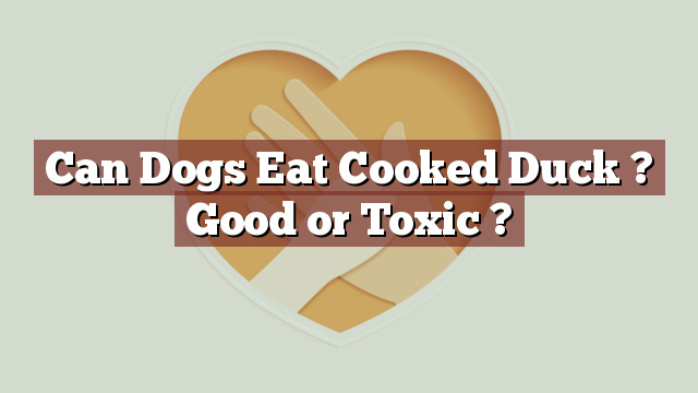 Can Dogs Eat Cooked Duck ? Good or Toxic ?
