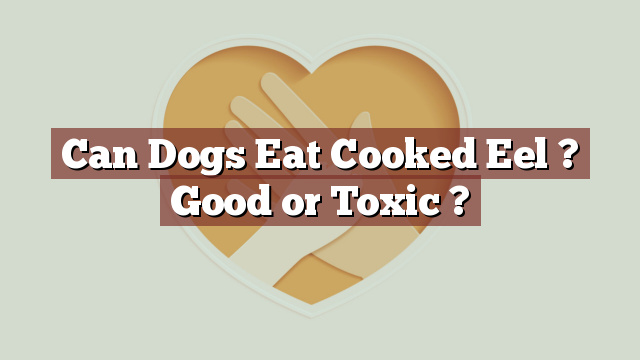 Can Dogs Eat Cooked Eel ? Good or Toxic ?