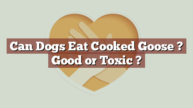Can Dogs Eat Cooked Goose ? Good or Toxic ?